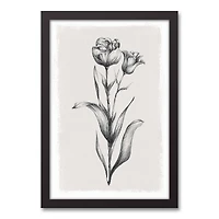 Floral Stems Sketch 13.73" x 19.73" Black Framed Canvas