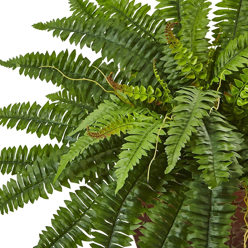 23" Boston Fern In Metallic Planter