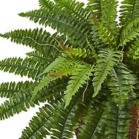23" Boston Fern In Metallic Planter