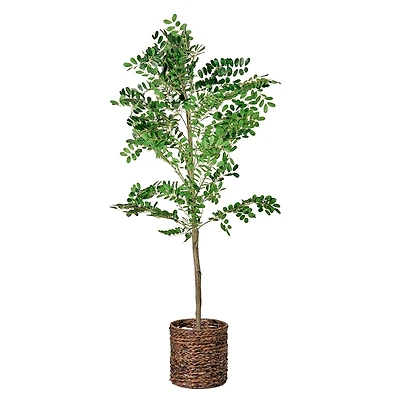 American Art Decor 5ft. Sorbus Tree in Woven Basket