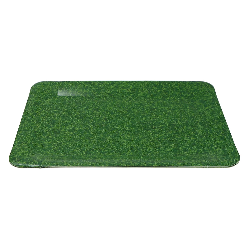 9" x 13" Grass Paper Trays, 2ct. by Celebrate It™