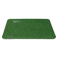 9" x 13" Grass Paper Trays, 2ct. by Celebrate It™