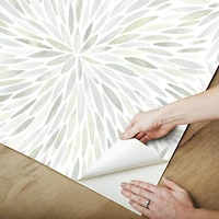 RoomMates Green Cat Coquillette Burst Peel & Stick Wallpaper