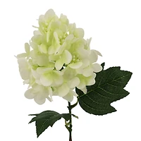 27" White Cone Hydrangea Real Touch Stem by Ashland®