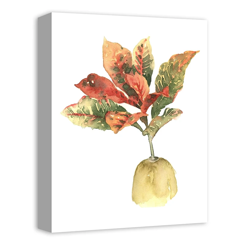 Bright Coastal Plant 12" x 16" Canvas Wall Art