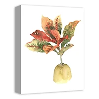 Bright Coastal Plant 12" x 16" Canvas Wall Art