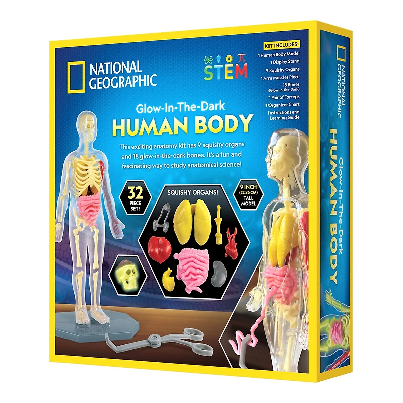 National Geographic™ Glow-in-the-Dark Human Body