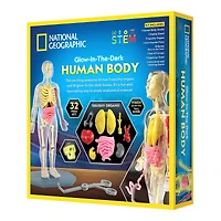 National Geographic™ Glow-in-the-Dark Human Body
