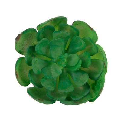 Flora Bunda® Small Echeveria Succulent Pick, 12ct.