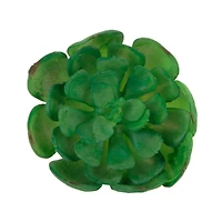 Flora Bunda® Small Echeveria Succulent Pick, 12ct.