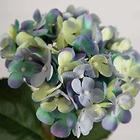 20" Hydrangea Flower Stems