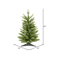 2ft. Unlit Fraser Fir Artificial Christmas Tree
