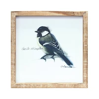 9.5" Framed Bird Print Set, 4ct.