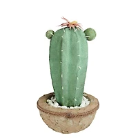 13.75" Southwestern Style Potted Cactus with Flowers