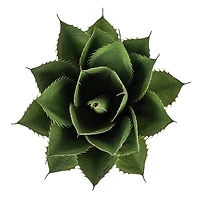 Hello Honey® Faux Agave Plant in Plastic Pot, Green