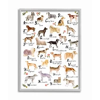 Stupell Industries Chic Alphabet of Dogs with Floral Detail Framed Wall Art