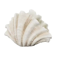 23" Cream Shell Textured Sculpture