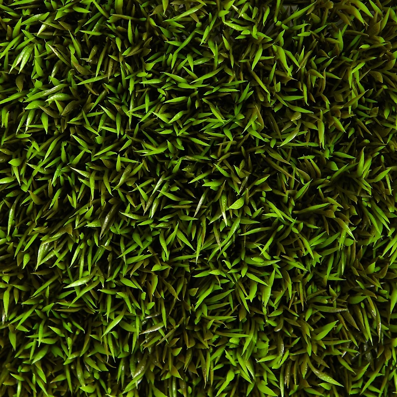 Mini Plum Pine Artificial Wall Mat, 6ct.