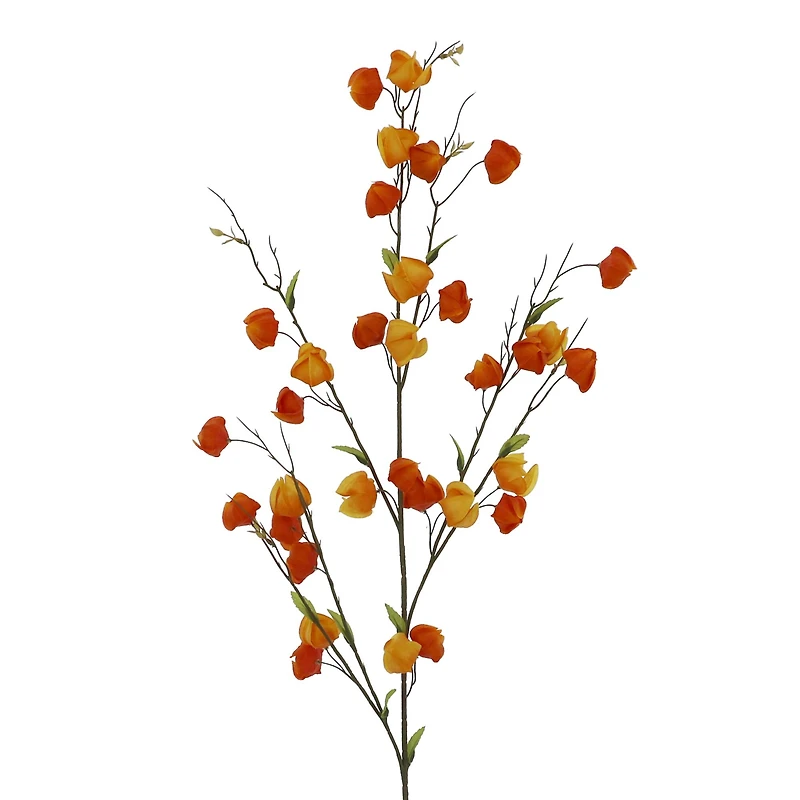 41" Lantern Branch by Ashland