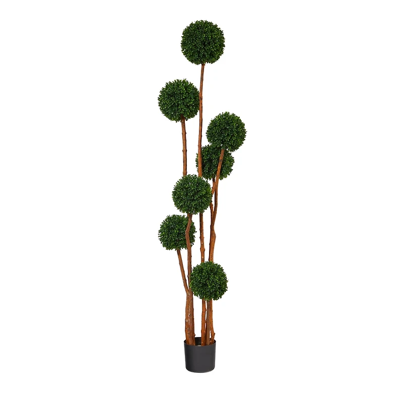 6ft. Potted Boxwood Multi-Ball Topiary Tree