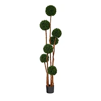 6ft. Potted Boxwood Multi-Ball Topiary Tree