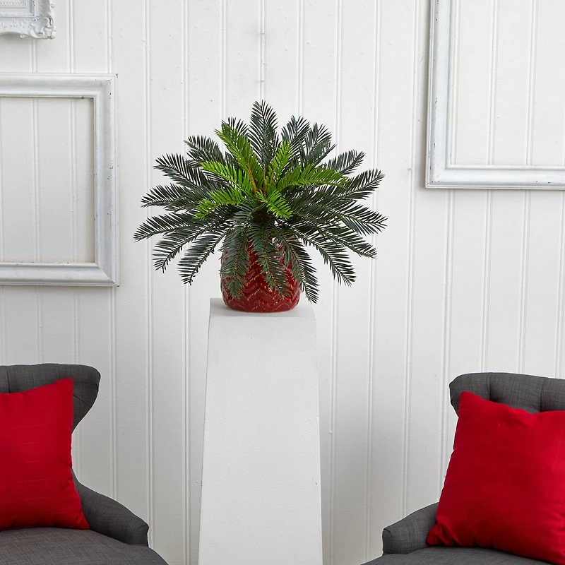 15'' Cycas Palm in Red Ceramic Planter