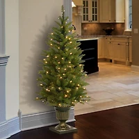 4 ft. Pre-Lit Potted Dunhill® Fir Artificial Entrance Christmas Tree, Clear Lights