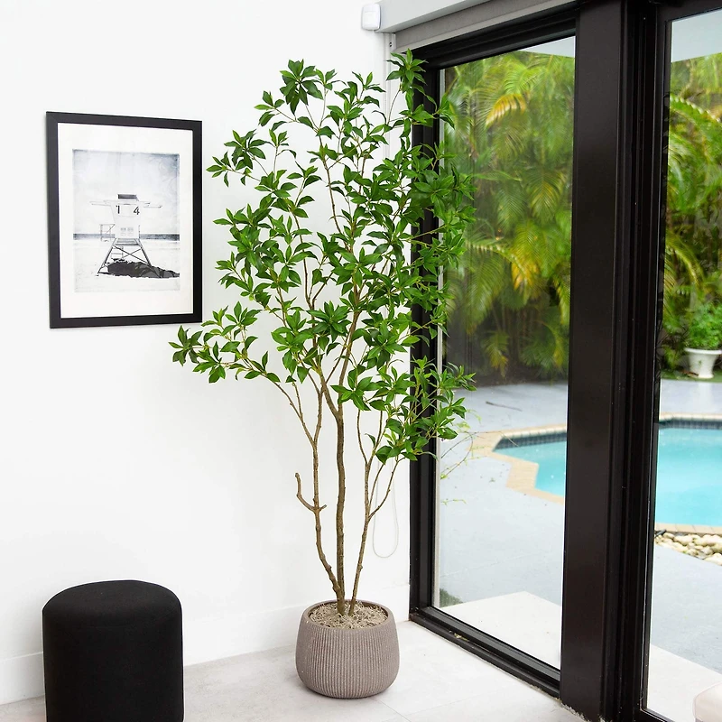 7ft. Potted Minimalist Japanese Pieris Tree with Real Touch Leaves