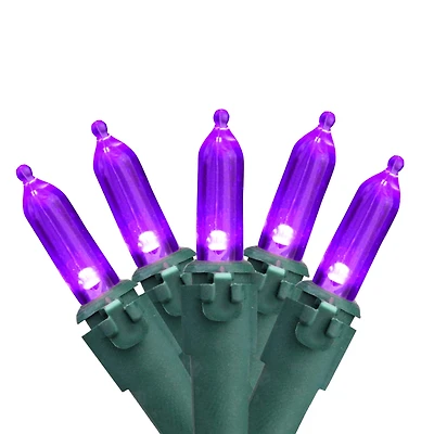50ct. LED Mini Christmas String Lights with Green Wire