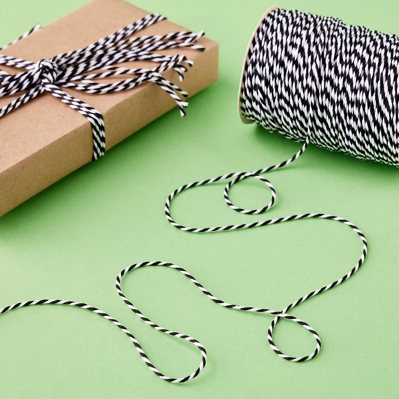 100yd. Twine by Celebrate It