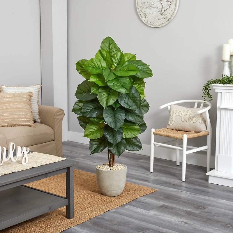 4.5ft. Philodendron in Sand Stone Planter
