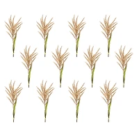 34" Brown Astilbe Stems, 12ct.