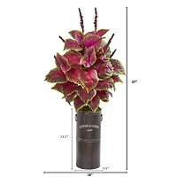 3ft. Coleus Plant in Decorative Planter