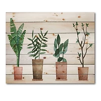 Designart - Duo of Potted Flowers House Plants - Farmhouse Print on Natural Pine Wood
