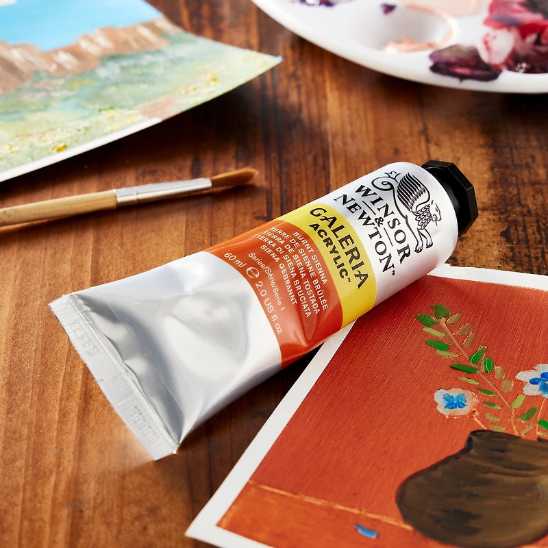 Winsor & Newton™ Galeria Acrylic