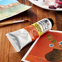 Winsor & Newton™ Galeria Acrylic