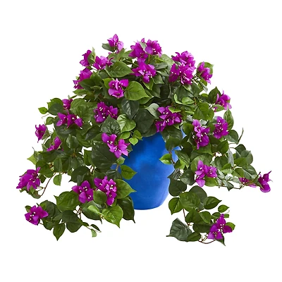 22" Purple Bougainvillea in Blue Planter