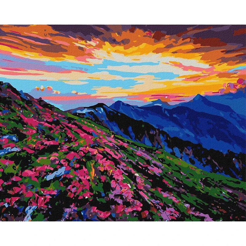 Ideyka Wonderland Painting by Numbers Kit