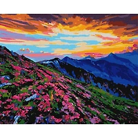 Ideyka Wonderland Painting by Numbers Kit