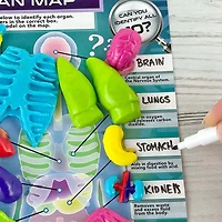 ArtSkills® Epic Lab Human Anatomy STEM Kit