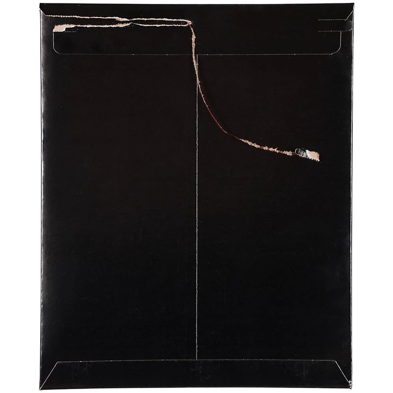 JAM Paper 11" x 13.5" Flat Photo Mailer Peel & Seal Closure Envelopes