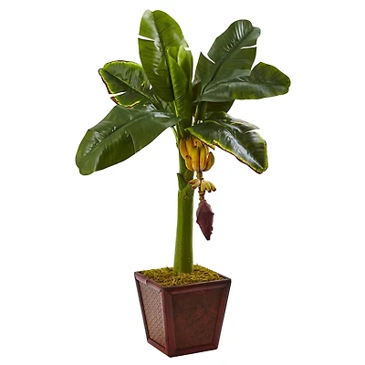 3ft. Banana Tree in Wooden Planter