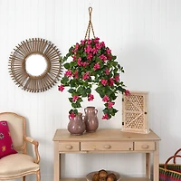2.5ft. Bougainvillea Hanging Basket