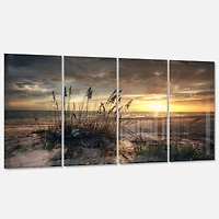 Designart - Grassy and beach sunset