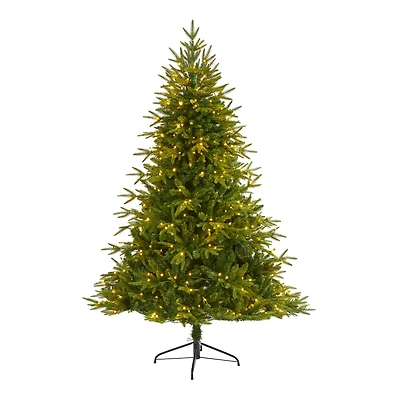 6ft. Pre-Lit Colorado Mountain Fir Artificial Christmas Tree, Clear LED Lights