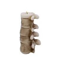 6" Spine Shaped Candle by Ashland®