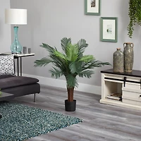3ft. Potted UV Resistant Cycas Tree