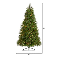 6ft. Pre-Lit Golden Tip Washington Pine Artificial Christmas Tree, Clear LED Lights