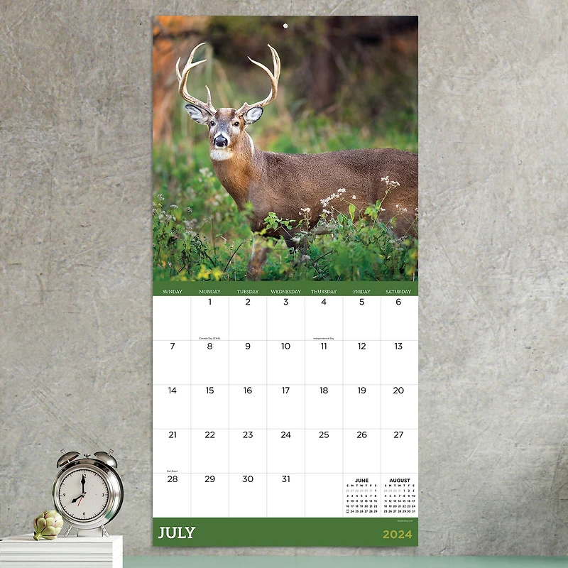TF Publishing 2024 Deer Wall Calendar