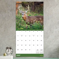 TF Publishing 2024 Deer Wall Calendar